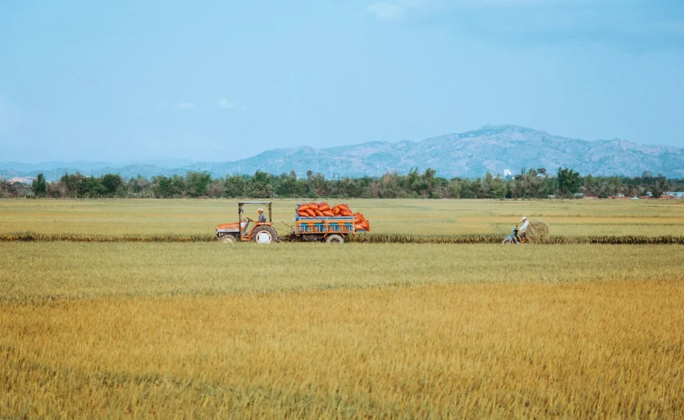Kho gạo của Võ Thị Thu Thảo